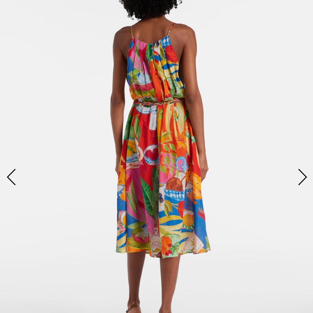 FARM RIO Multicolor Summer Picnic Midi Dress - Picture 3 of 9